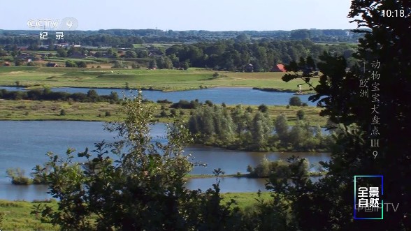 全能看tv免费版安装下载无广告