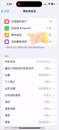 蓝色飞机中文版