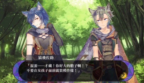 战刻夜想曲截图8