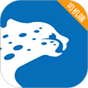 飞豹出行司机端app