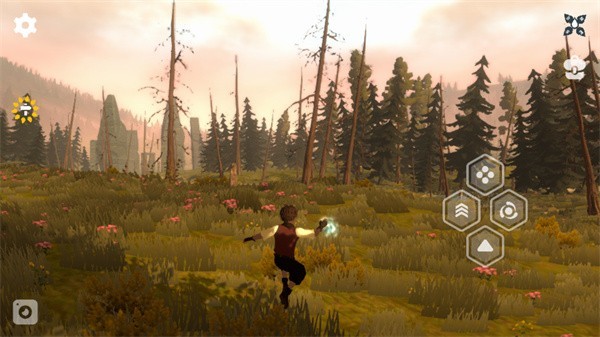 荒野沙丘荒原游戏玩法2