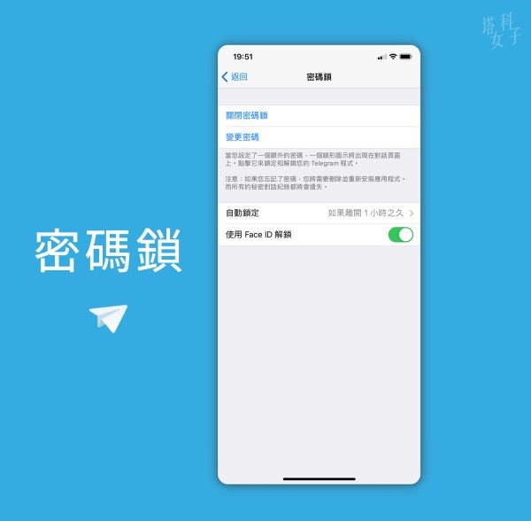 纸飞机telegreat官网版
