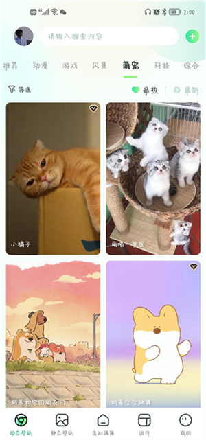 飞火动态壁纸app最新版壁纸设置教程截图3