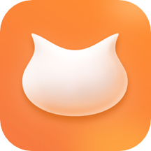 飞猫盘app
