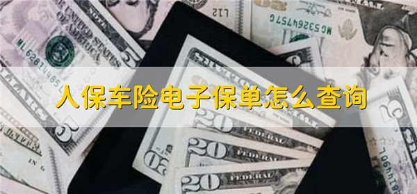 中国人保车险查询保单说明截图