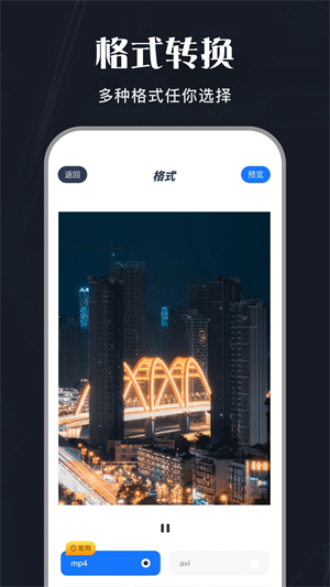 斑马视频骑士版使用教程截图