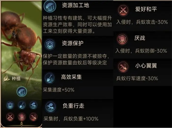 习性的面板