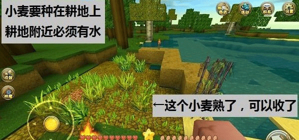 游戏攻略截图7