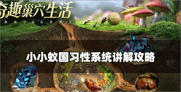 小小蚁国习性系统讲解攻略截图1
