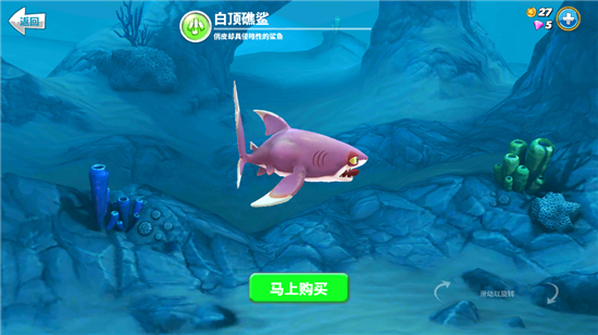 鲨鱼介绍1