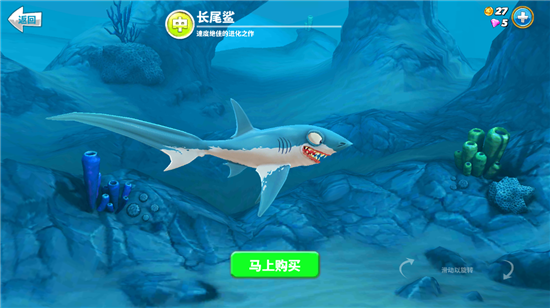 鲨鱼介绍2