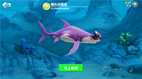鲨鱼介绍3