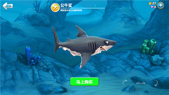 鲨鱼介绍4