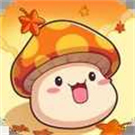 冒险岛联盟的意志官方版