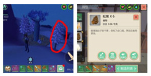 创造与魔法九游版物品血量及掉落攻略